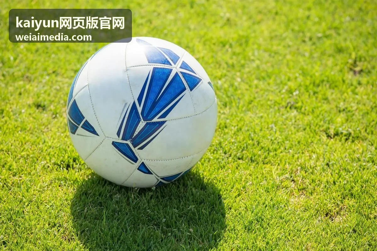 kaiyun网页版官网任务协作与项目分工界面