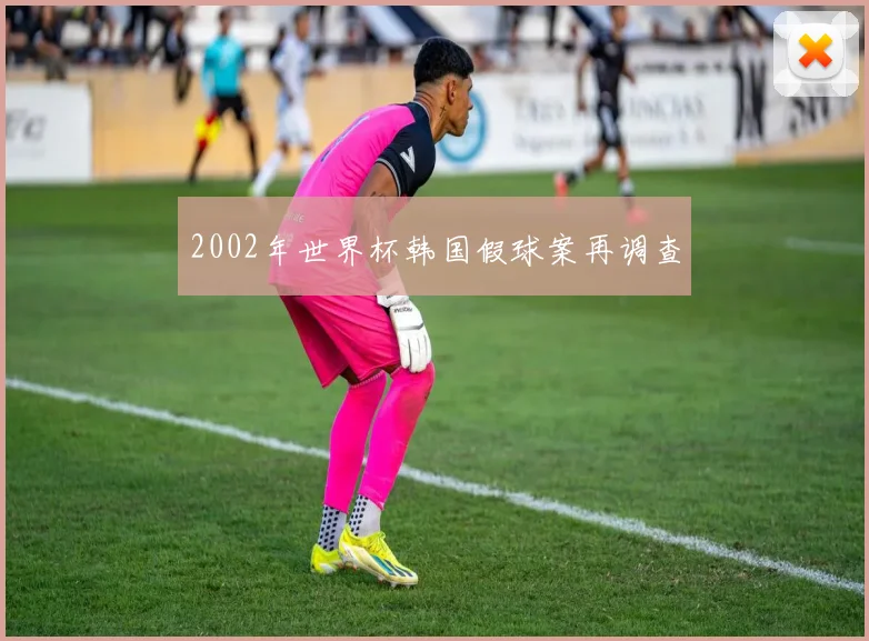 2002年世界杯韩国假球案再调查