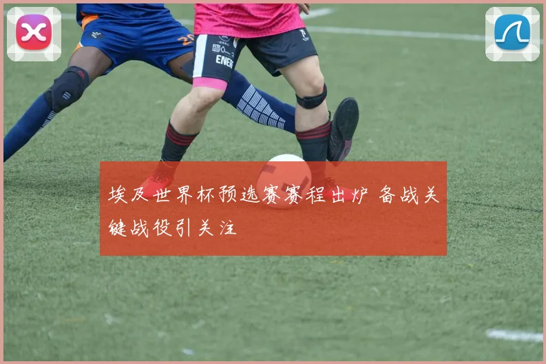 埃及世界杯预选赛赛程出炉 备战关键战役引关注
