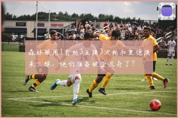 森林狼用1首轮3互换3次轮和里德换来三球,他们准备破釜沉舟了?