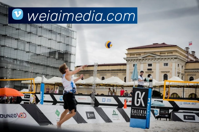 在线买世界杯平台发展历程